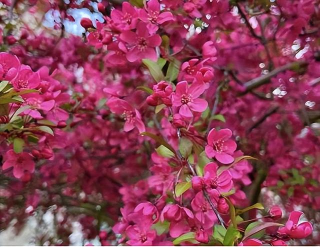 水上公园发布预告