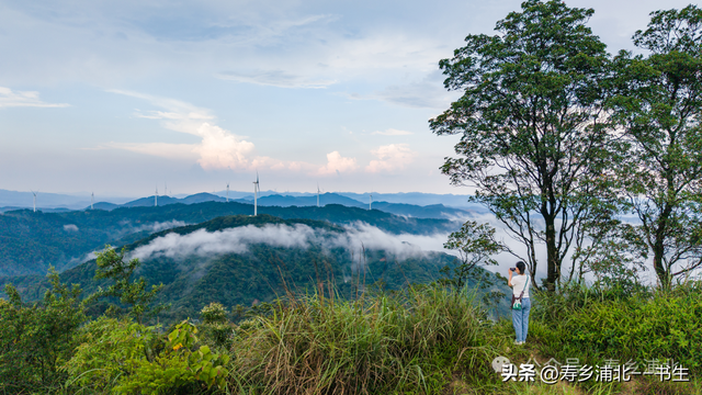 你经常穿越大浦高速大茅垌隧道，可你知道山顶风光有多美吗？