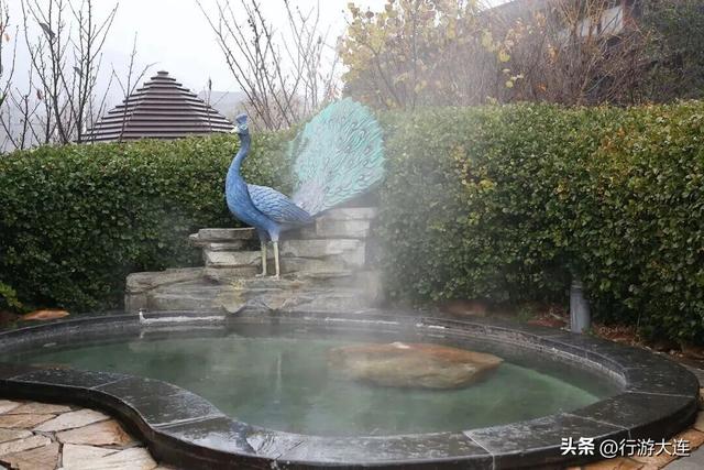 寒意来袭，大连开启“温泉时间”！