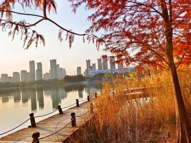 要火！太出片了！阜阳这里竟美到窒息，很多人不知道，赶紧去！多图拍下！