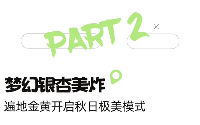 周末出国！高铁20min直达最美异域小城！风光极致美食无敌，入秋满城银杏美哭！