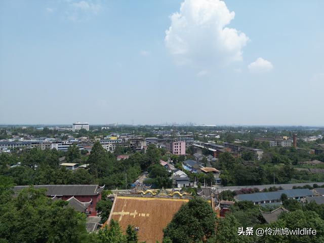 成都徒步（68）·彭州篇⑮佛山古寺&镇国寺宝塔