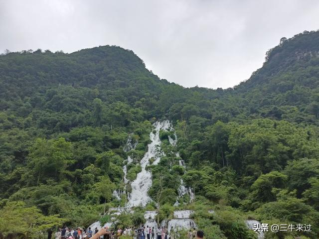 无为在歧路，2025之经行