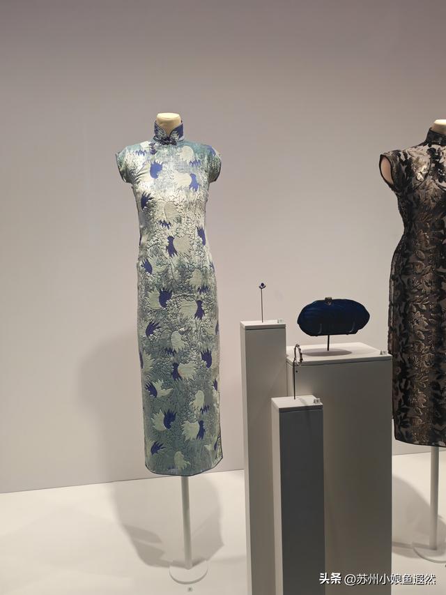 冬日限定浪漫！上博打卡百年旗袍，邂逅张信哲私藏的东方摩登