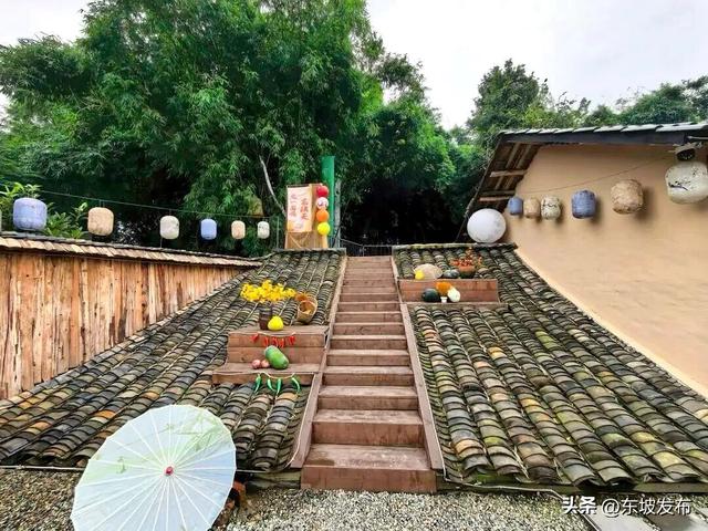 走起，这个小院出圈又出片！