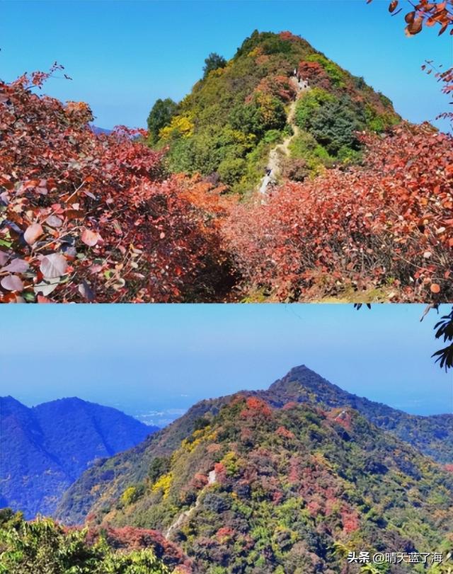 我炸！秦岭团标峪秋日徒步采摘攻略：山野寻味，古寺探幽！