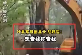 叶县书记称不存在强拆，其实强拆不是重点，关键是赔偿是否到位？图片