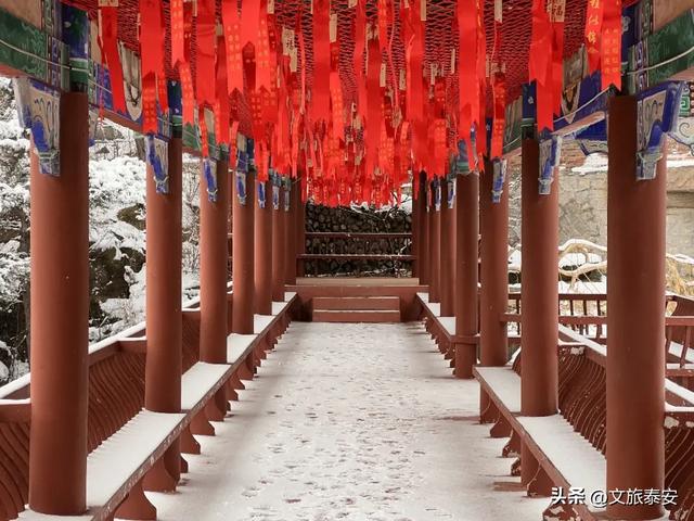 元旦游新甫，追光迎新福！终于能和好友一起撒欢看日出啦~