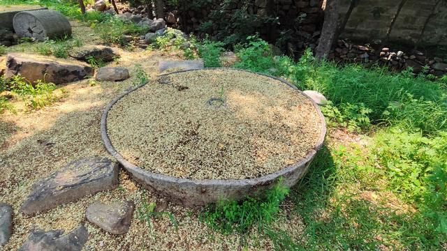 中伏天爬山体验，记石家庄鹿泉常河-北紫沟-南紫沟-南寨穿越