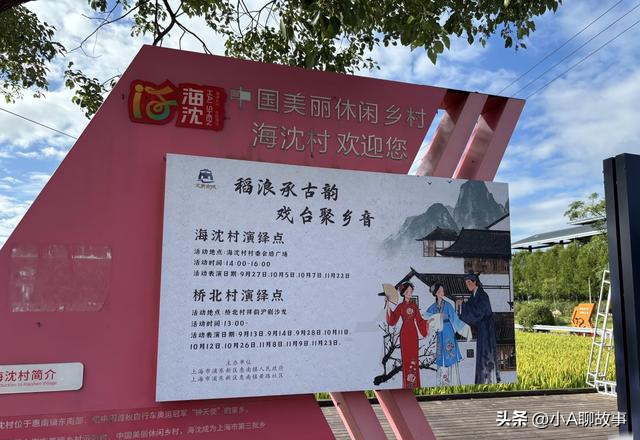 我是上海人，刚从南汇回来，这5个疑问在心里绕了好久。