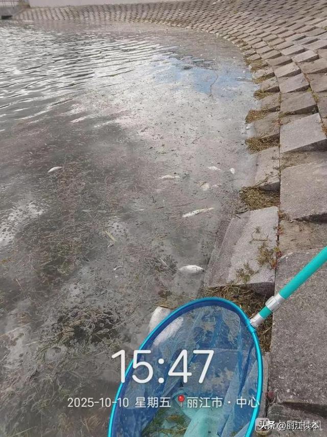 文笔海这么美，那些乱丢垃圾的，你怎么忍心?！
