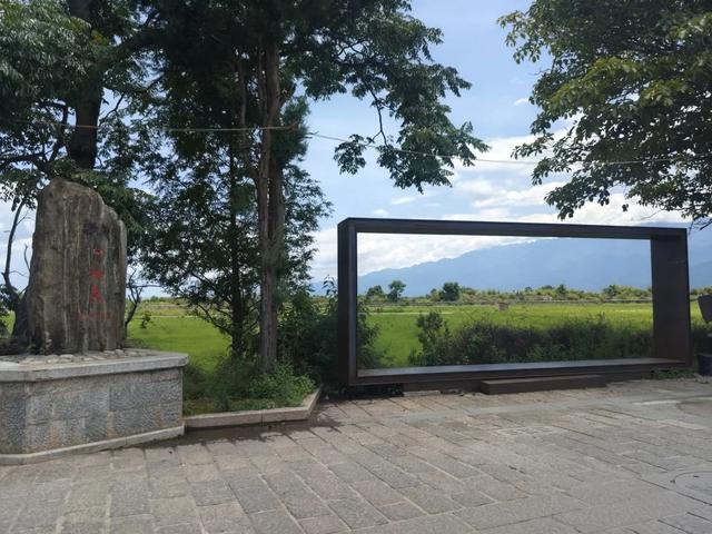 旅居在大理稻田边