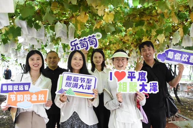 葡萄树下话振兴 第39届中国·大泽山葡萄节“行走的新闻发布会”在山东平度举办