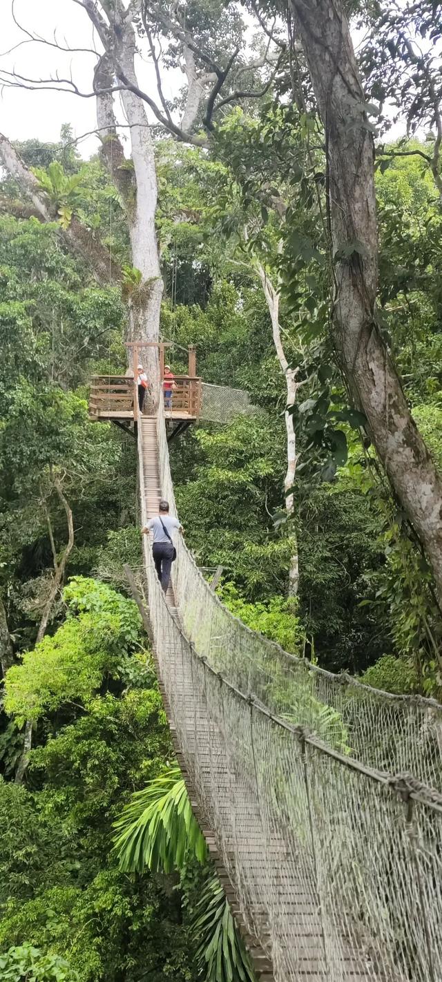 一生一次，2027年出发！41天南极半岛包船登陆，南美4国狂野自驾