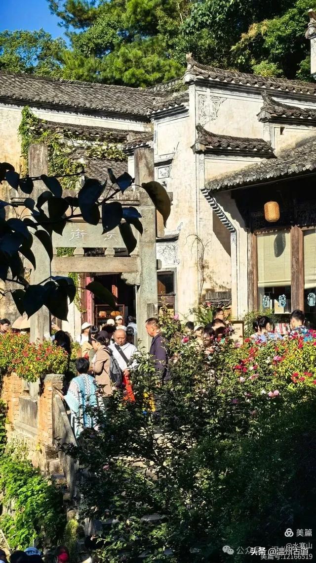 徽州篁岭，晒秋美得让人惊叹，这份“偷秋”烟火气超治愈!