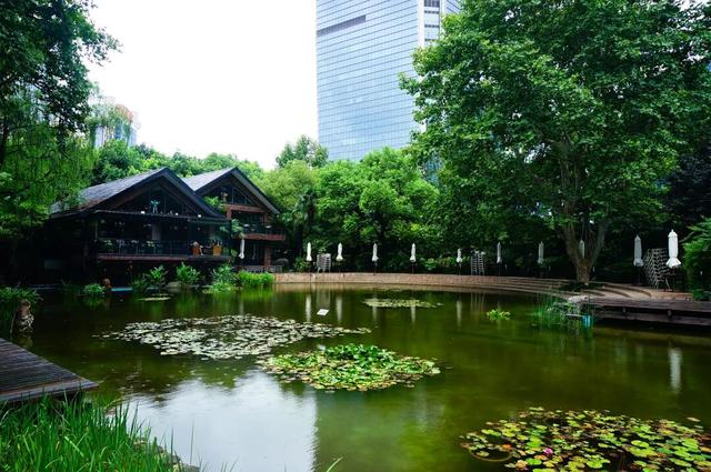 陪伴上海人70多年的“老友”要闭关升级了！这段历史头回听说？未来长啥样提前看！