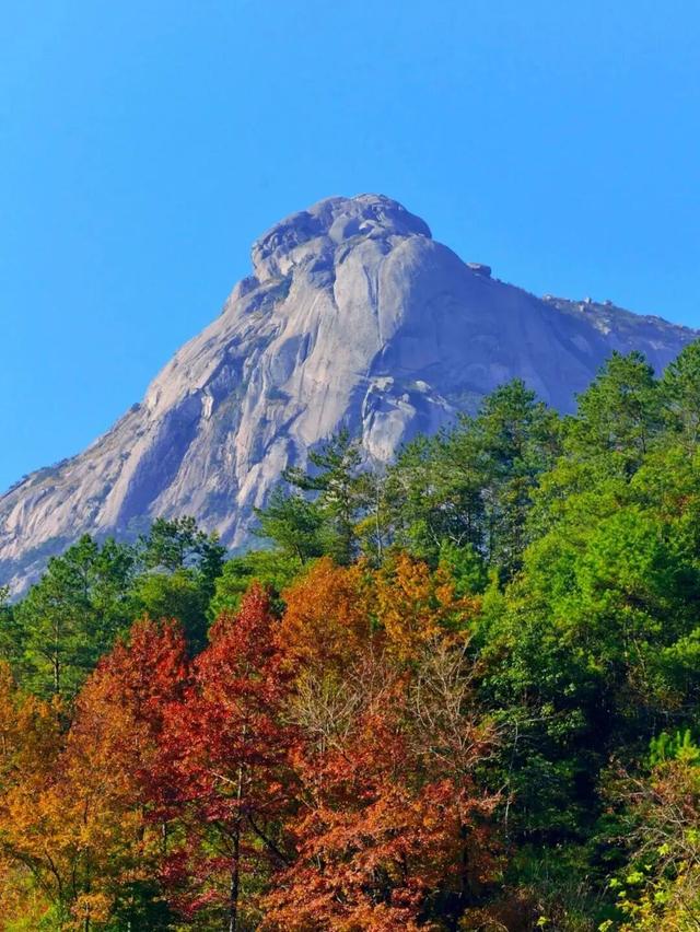 沉浸式感受韶关新丰绝美秋色！ 2天1夜赏枫露营品美食，徒步泡温泉，一起去躺平 ！