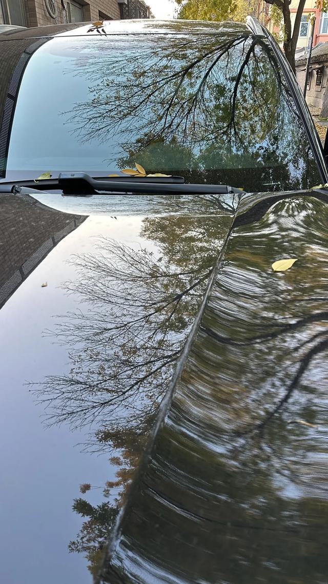 更年期小阿姨的胡同漫游