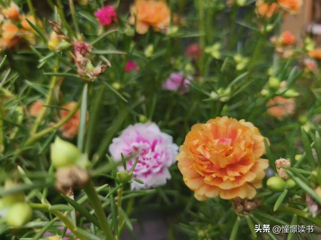 阿里巴巴潜在受益企业