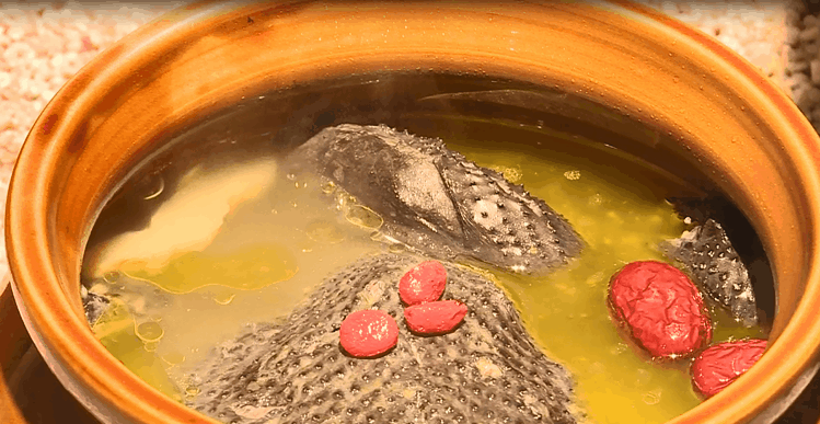 立冬别“猫冬”！来略阳赴一场红叶的约会！🤳