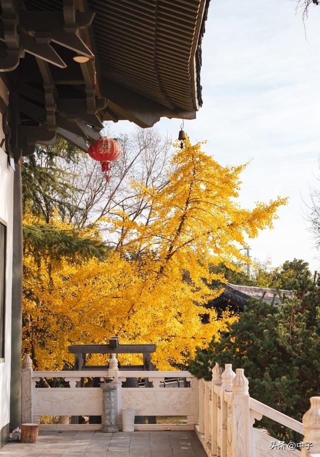 南京的秋天，凭什么这么低调？