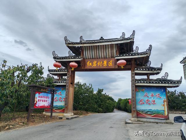 开着房车去流浪，打卡桂林恭城红岩村，漫山遍野柿子红