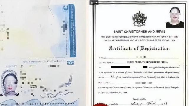 天津大妈卷款402亿！跑路英国后仍逍遥法外，13万人血本无归