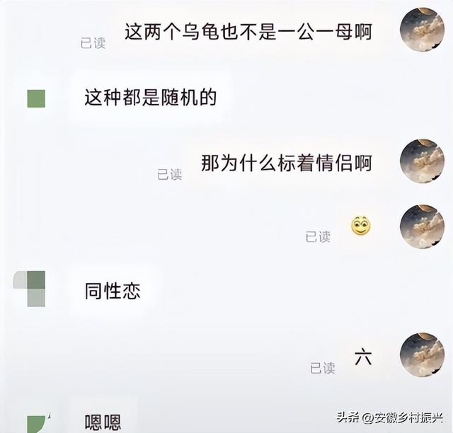 网店客服的聊天记录里，有多少满级变态？