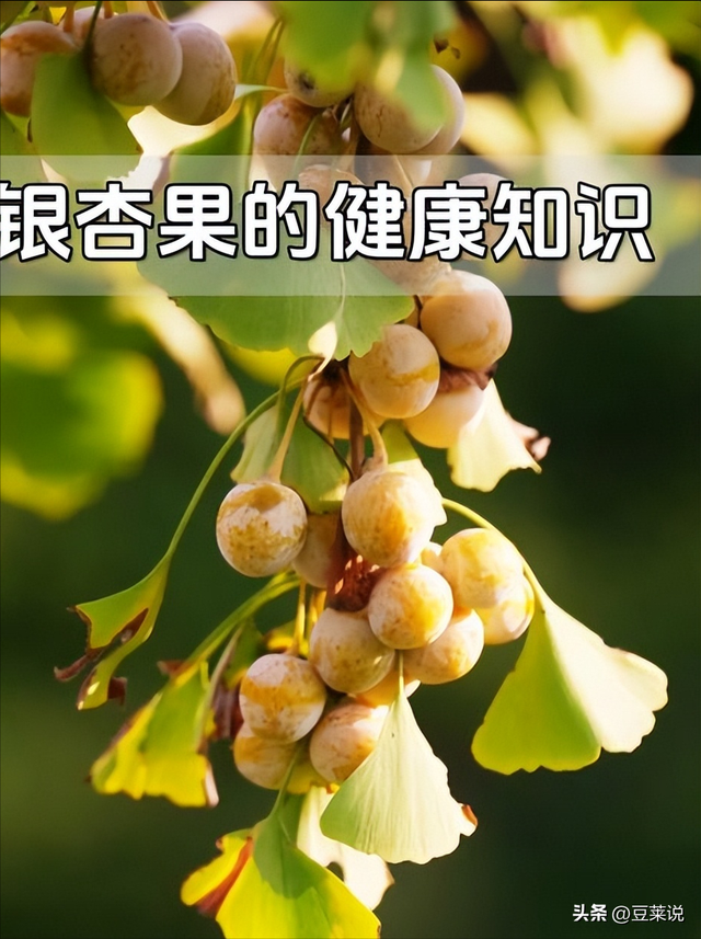 日本人靠它发财	，美国人用它打仗，中国人却把它当毒药扔进垃圾桶