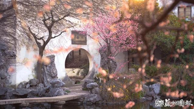 官宣！苏州梅花市集