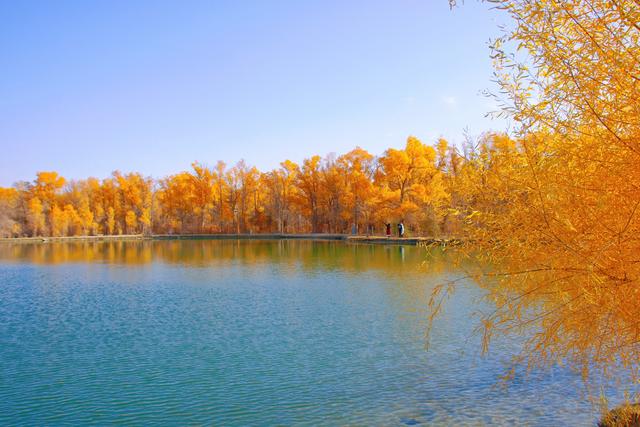 酒泉金塔胡杨林，时光凝固成美丽的神话，奔赴一场秋季的浪漫之旅