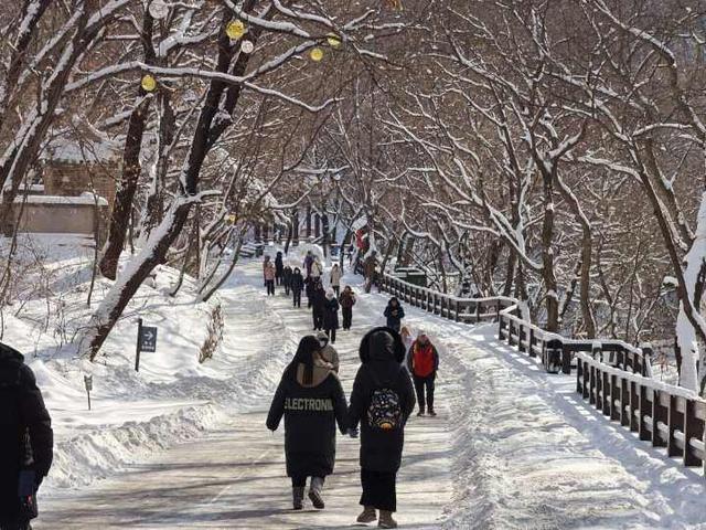 雪落千山披银装 八方游客赏胜景