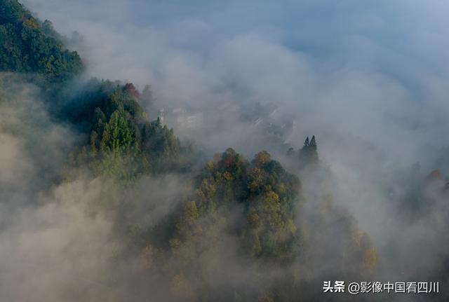 四川雅安：碧峰峡风光旖旎引客来