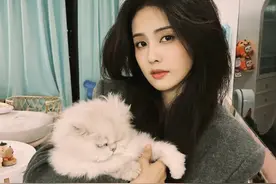 明星都喜欢养猫，国内外都一样，王一博，猫咪名字颇有深意图片