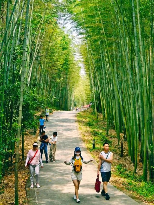 成都10个周末一日游宝地，没有门票~徒步露营溜娃都巴适！