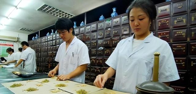 中国300年的绝密药丸，无人问津成弃宝，日本却靠它赚得盆满钵满