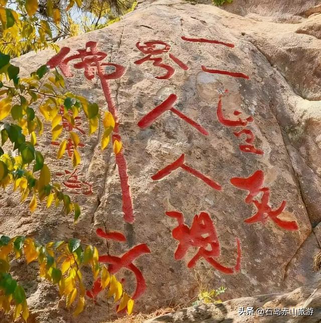 赤山红叶记：山海之间的秋日三重奏