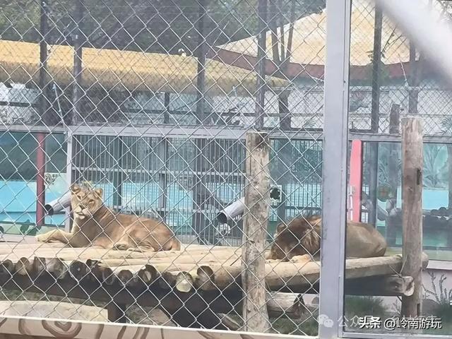 西安地铁10号线直达,承载708090后人记忆的未央湖公园变样了!