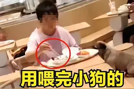 上海一餐厅内女子与狗共用筷子吃饭，商场回应图片