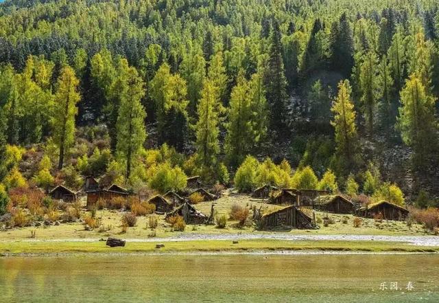 接下来，小金是这样的~