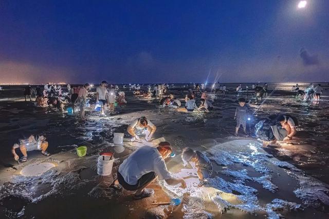 “刘家湾赶海”案例荣获第七届“中国服务”·旅游产品典型创意案例，以创新实践树立滨海文旅新标杆！