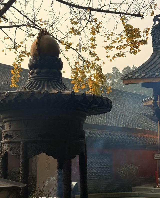 我是北京人，在四川泸州逛了几天，憋不住想讲讲这趟行程的感受。