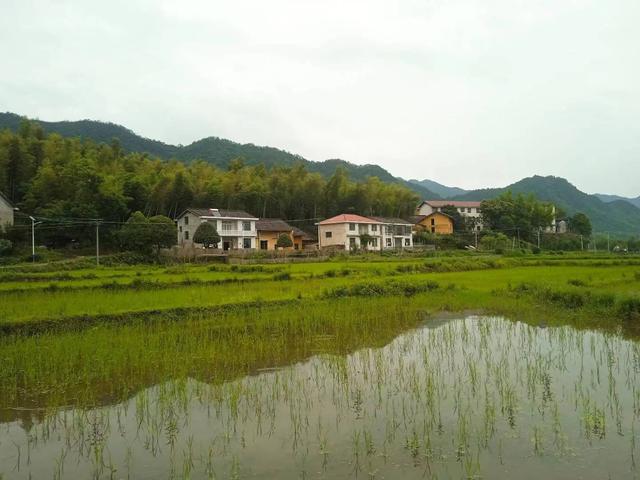 端阳喜伴小溪河，独有诗心迷远足——徒步小溪河散记（三）