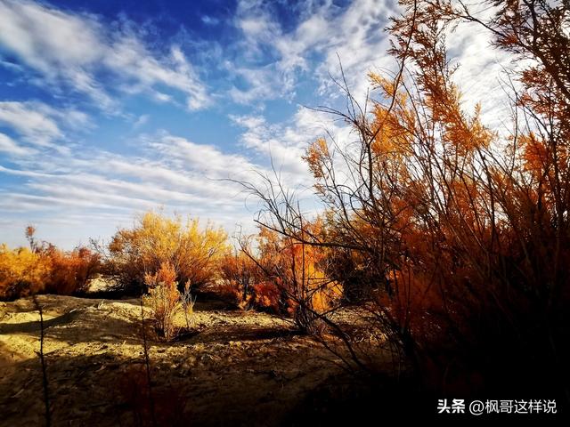 包头人的骄傲！亚洲最大的城中草原赛汗塔拉，外地人来了都惊叹