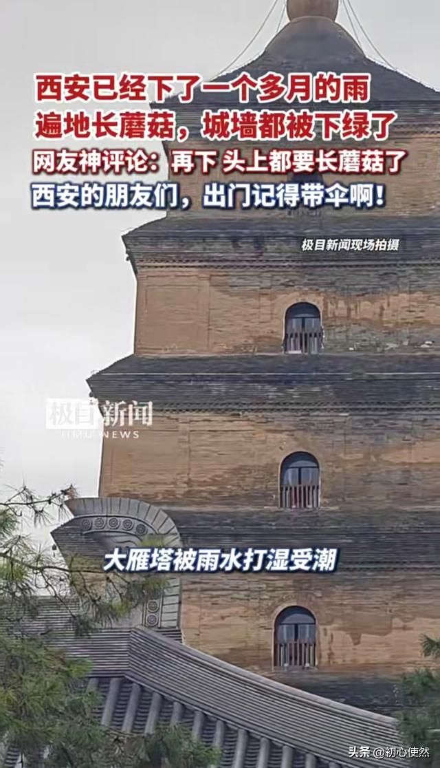 西安停雨惊现奇景！街头长蘑菇，大雁塔竟"受潮"
