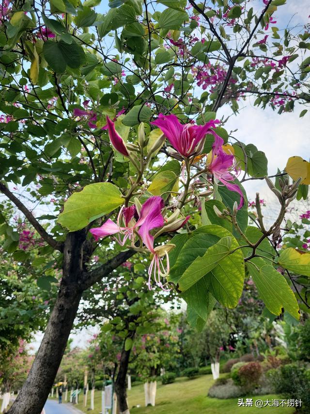 云南行·记·红河州篇之开远——一个让人恋在心头放不下的地方