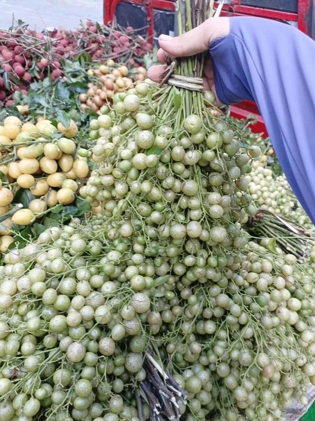 广东人夏天都吃不停了，实属是怕了，怕了