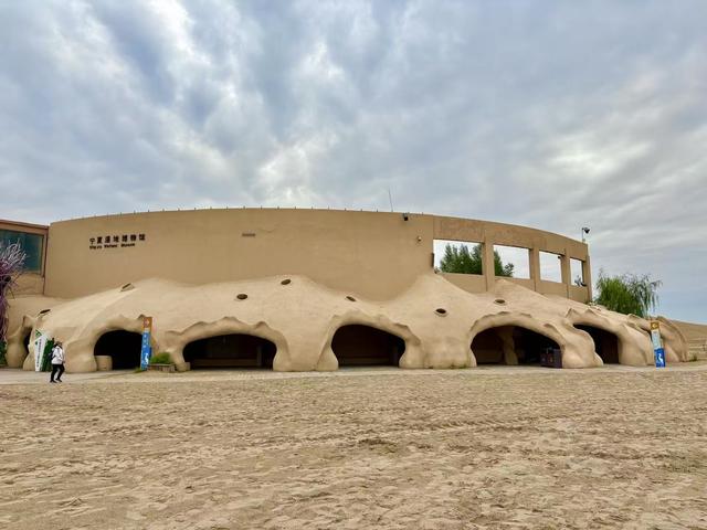 塞上江南新画卷·文旅奋进新宁夏｜沙湖：人与自然和谐共生