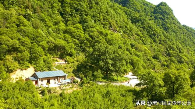 西安2h直达！钻进20℃的“天然空调房”，超全纳凉自驾攻略来了！