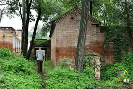 贾忠平：坚守与传承的打铁人生图片